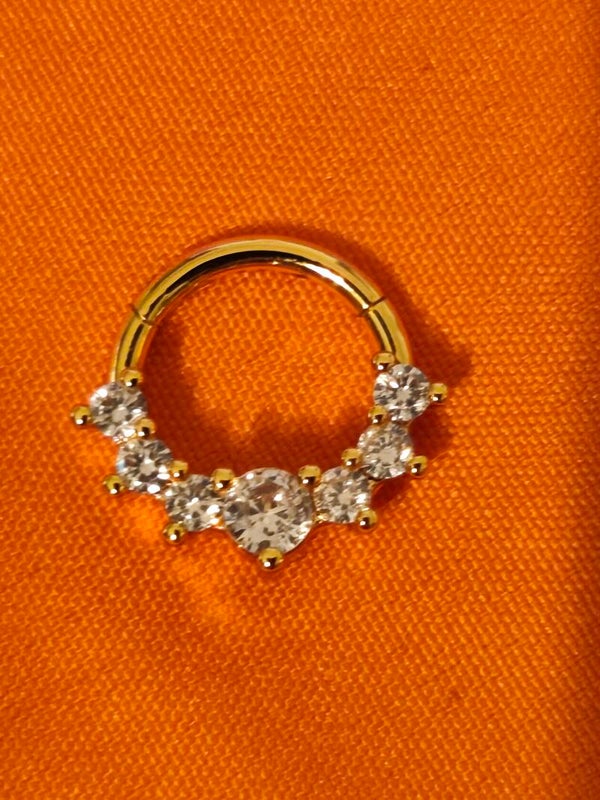 Piercing nez anneau