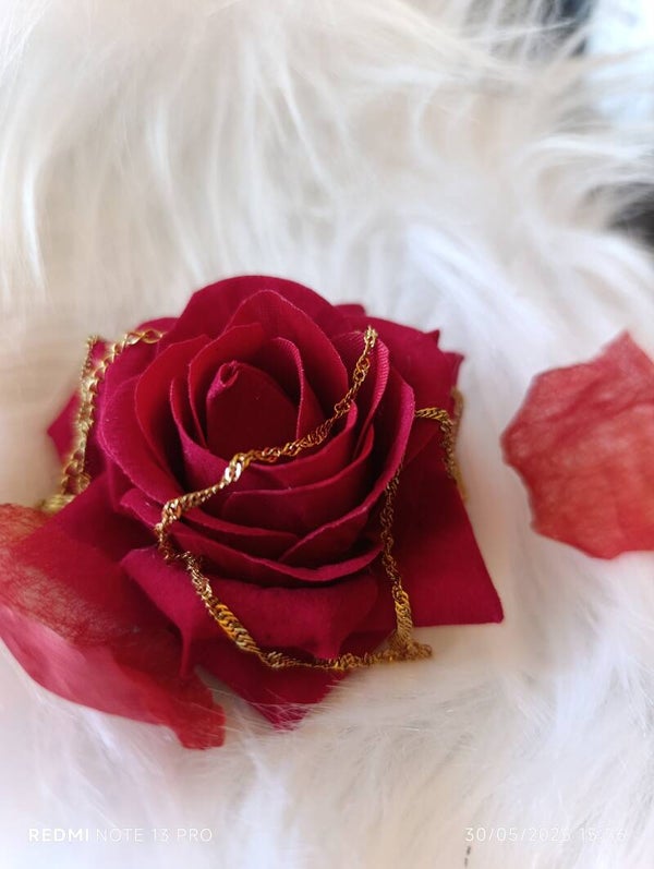 Chaine sans pendentif