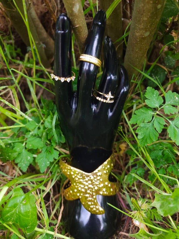 Jonc étoile de mer