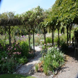 fietstocht-bloementuin-lottum-20-8-2025-18-standard-kxti9q.jpg