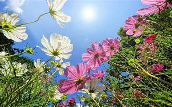 zomerse kennismakingsactie