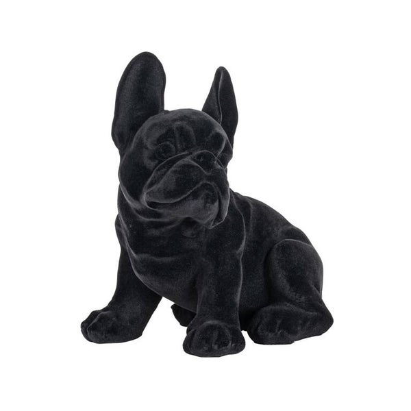 Dog Miro zwart (Black)  - Richmond