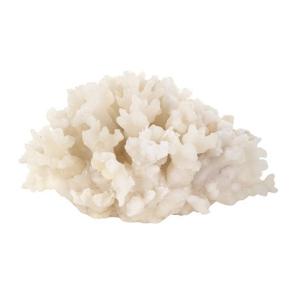 Faux koraal Aaron (White) - Richmond