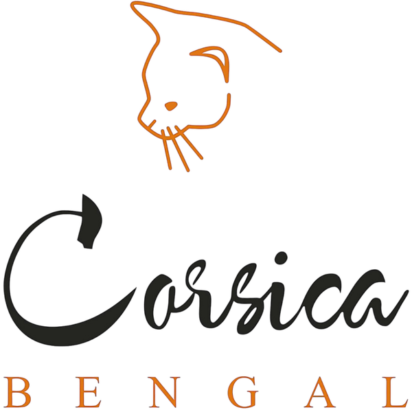 Je réserve mon chaton