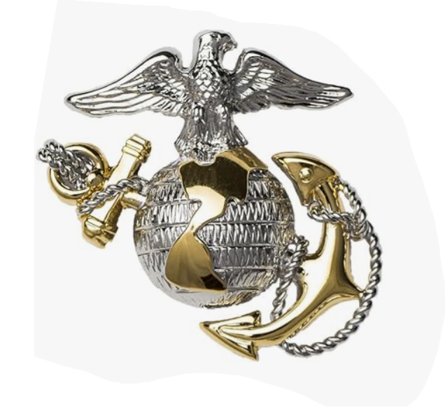 Female Officer Blue Dress A (medals) / Blue Dress | USMC Uniform Guide