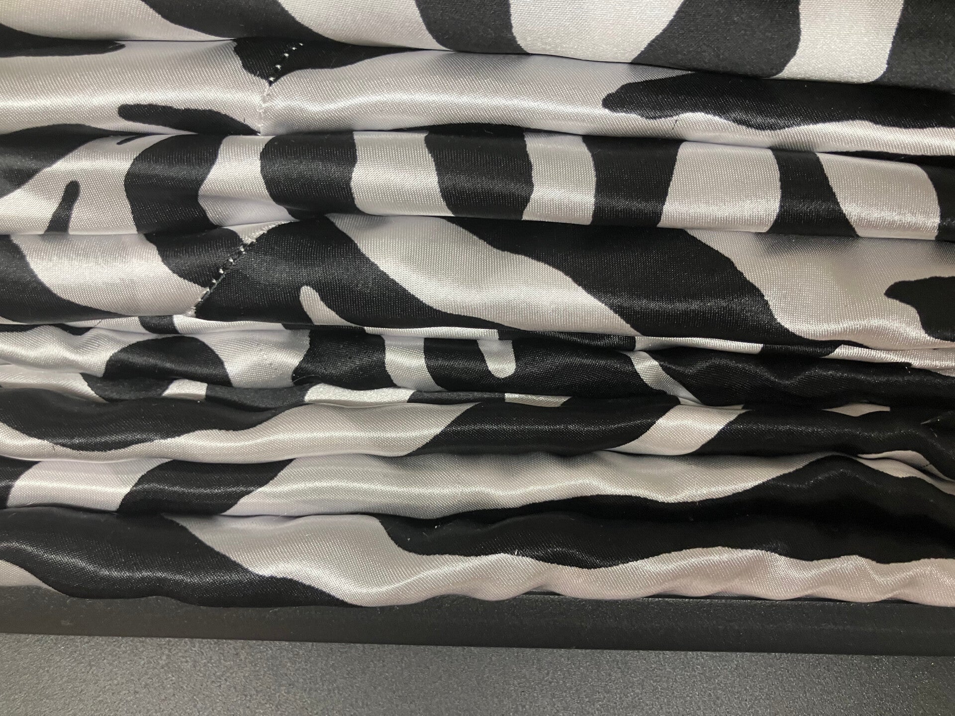 Black and White Zebra