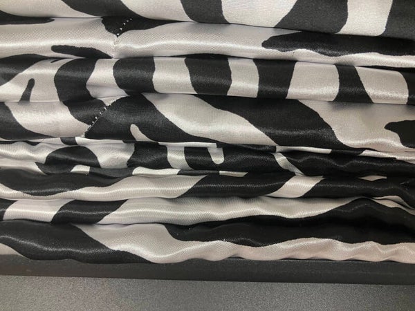Black and White Zebra