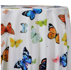 Satin Butterfly