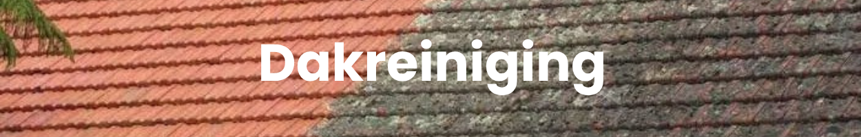 Dakreiniging