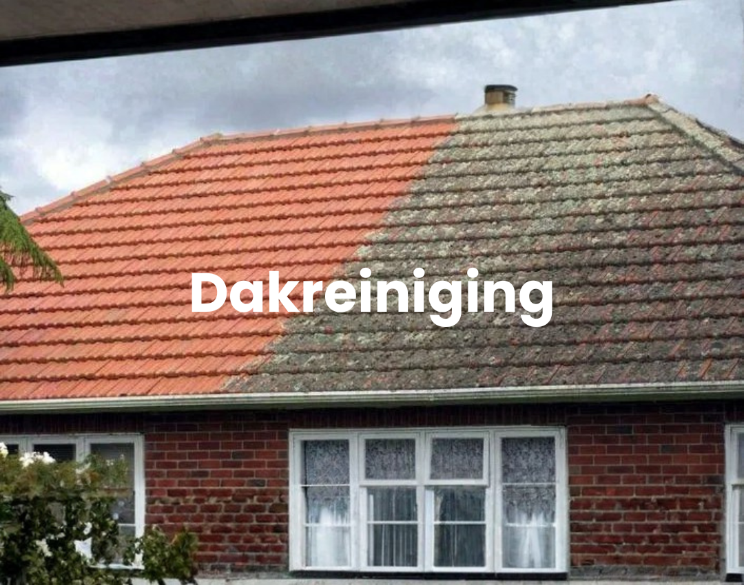Dakreiniging