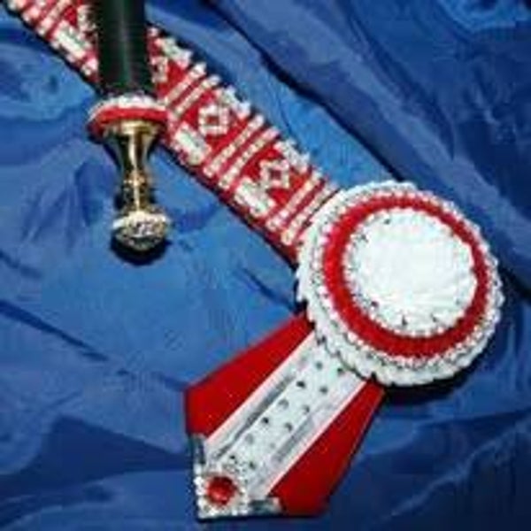 Red & White Refined with matching hand made whip