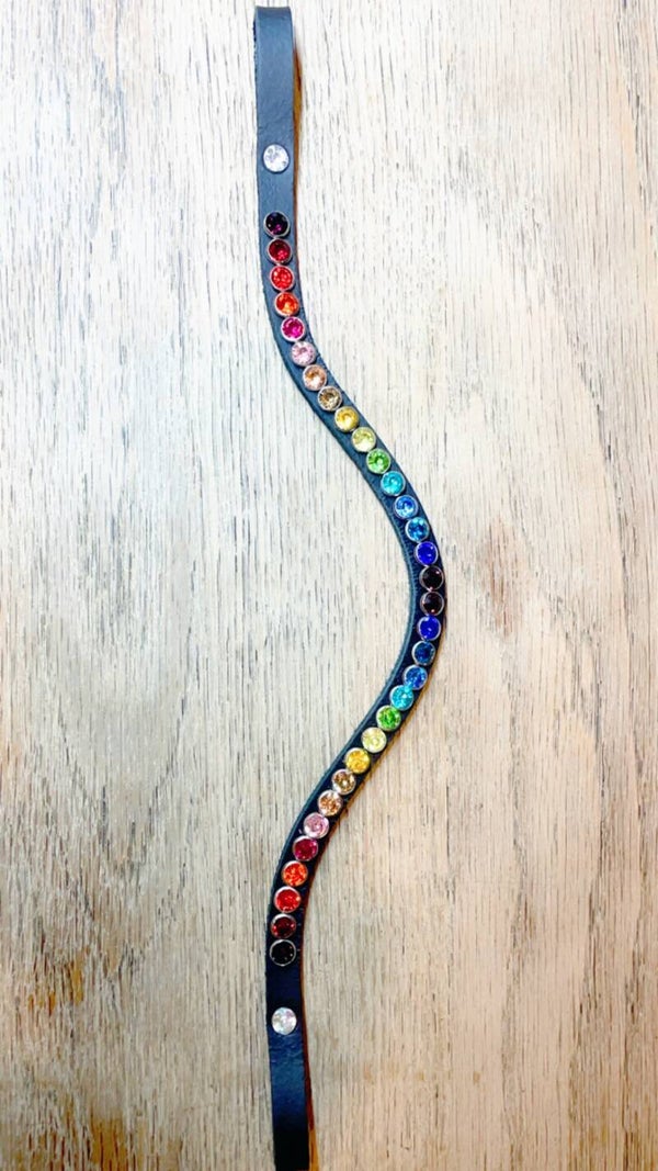 Frontriem  1 row Regenboog