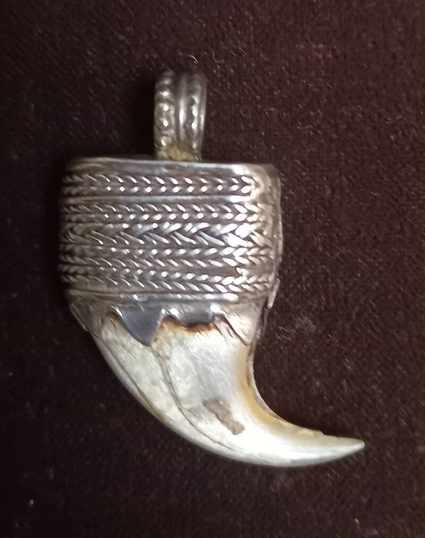 Oude cheeta nagel in zilver