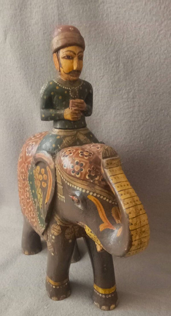 Beschilderde India olifant met berijder