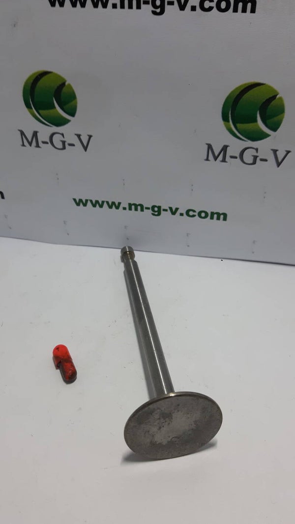 BRIGGS & STRATTON EINLASS VENTIL , 261044