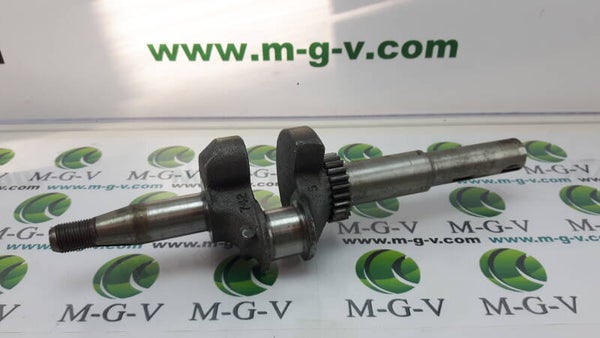 Briggs & Stratton Kurbelwelle 495795