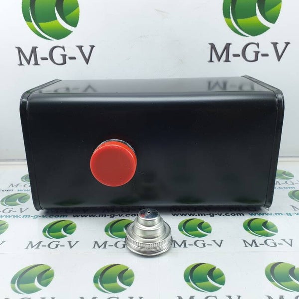 Briggs & Stratton Benzintank 291488