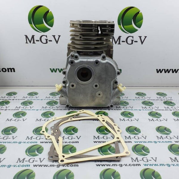 Briggs & Stratton Zylinder/ Motorblock 395879