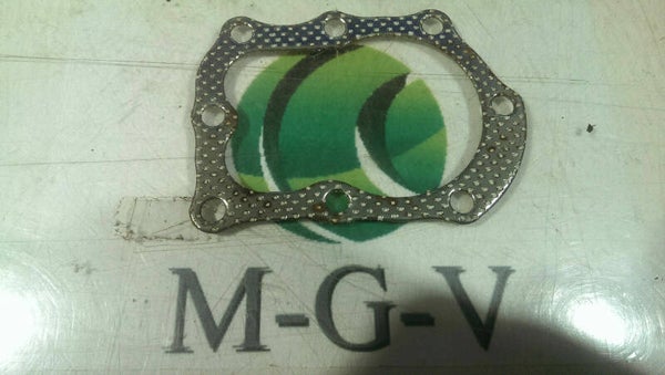 Briggs & Stratton Zylinderkopfdichtung  272170,  272536 , 698171 , 270341 (B13/2500)