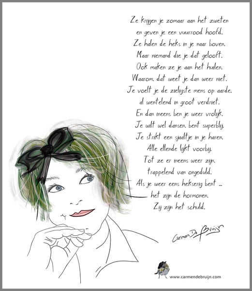 Gedicht Hormonen, Zij zijn het schuld, Carmen de Bruijn