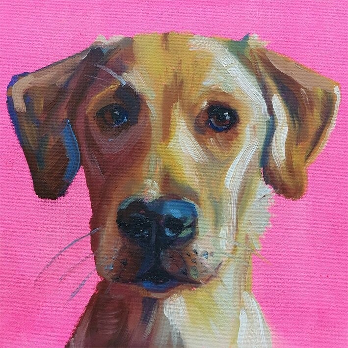 Alla prima! thema: dierenportret (zondag 13 december 2026 | 13:00-16:00)