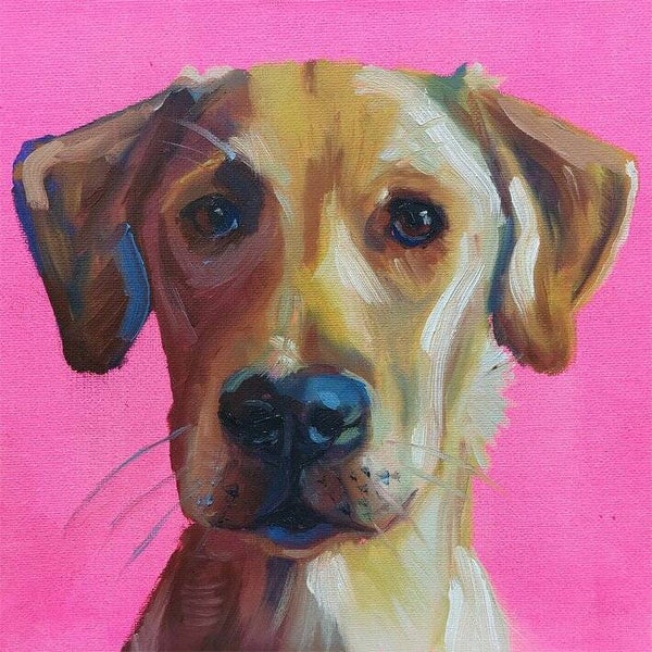 Alla prima! thema: dierenportret (zondag 13 december 2026 | 13:00-16:00)