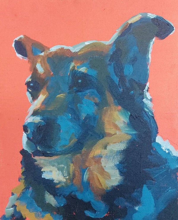schilderen met acrylverf en expressieve kleuren (zaterdag 13 juni 2026 | 14:00-16:30)