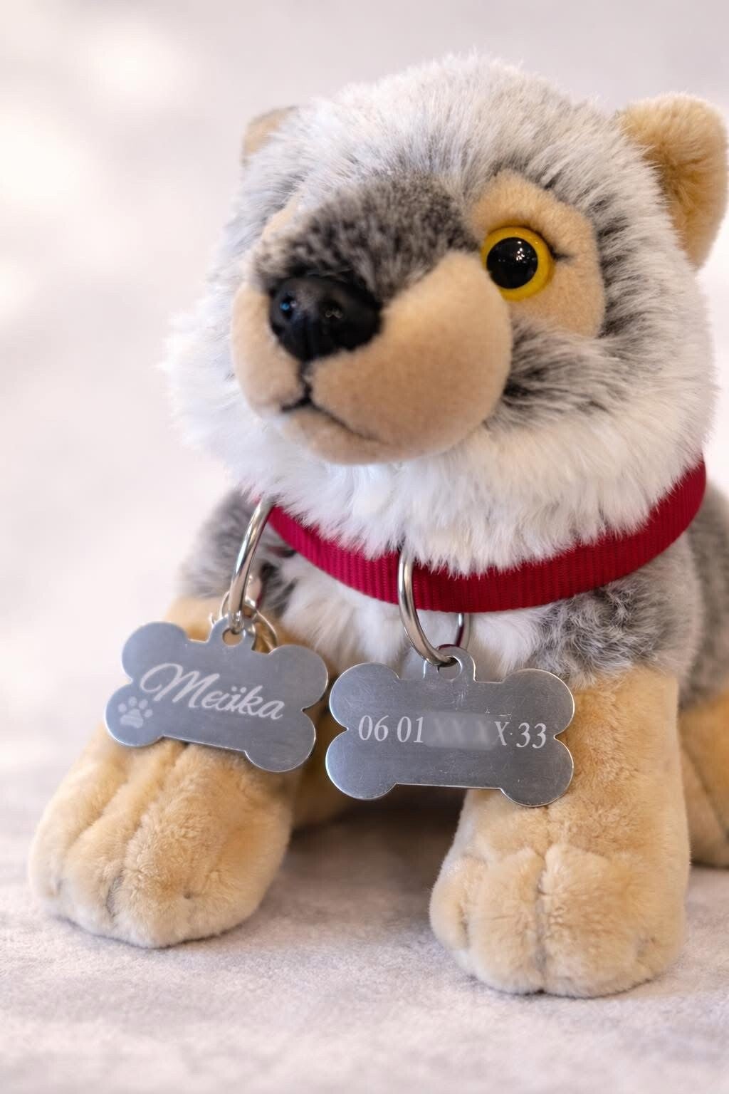 Médaille pour chien