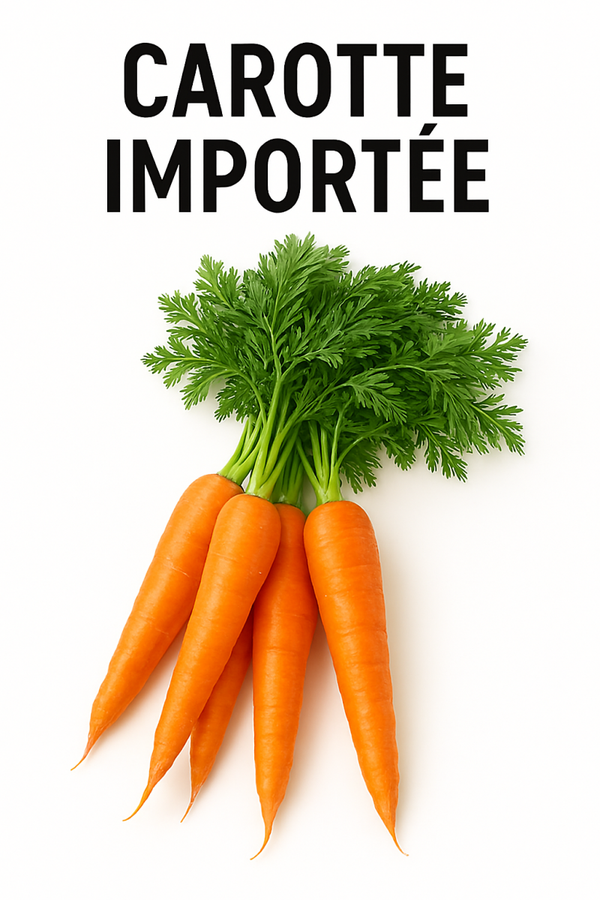 CAROTTE IMPORTE KG SAC