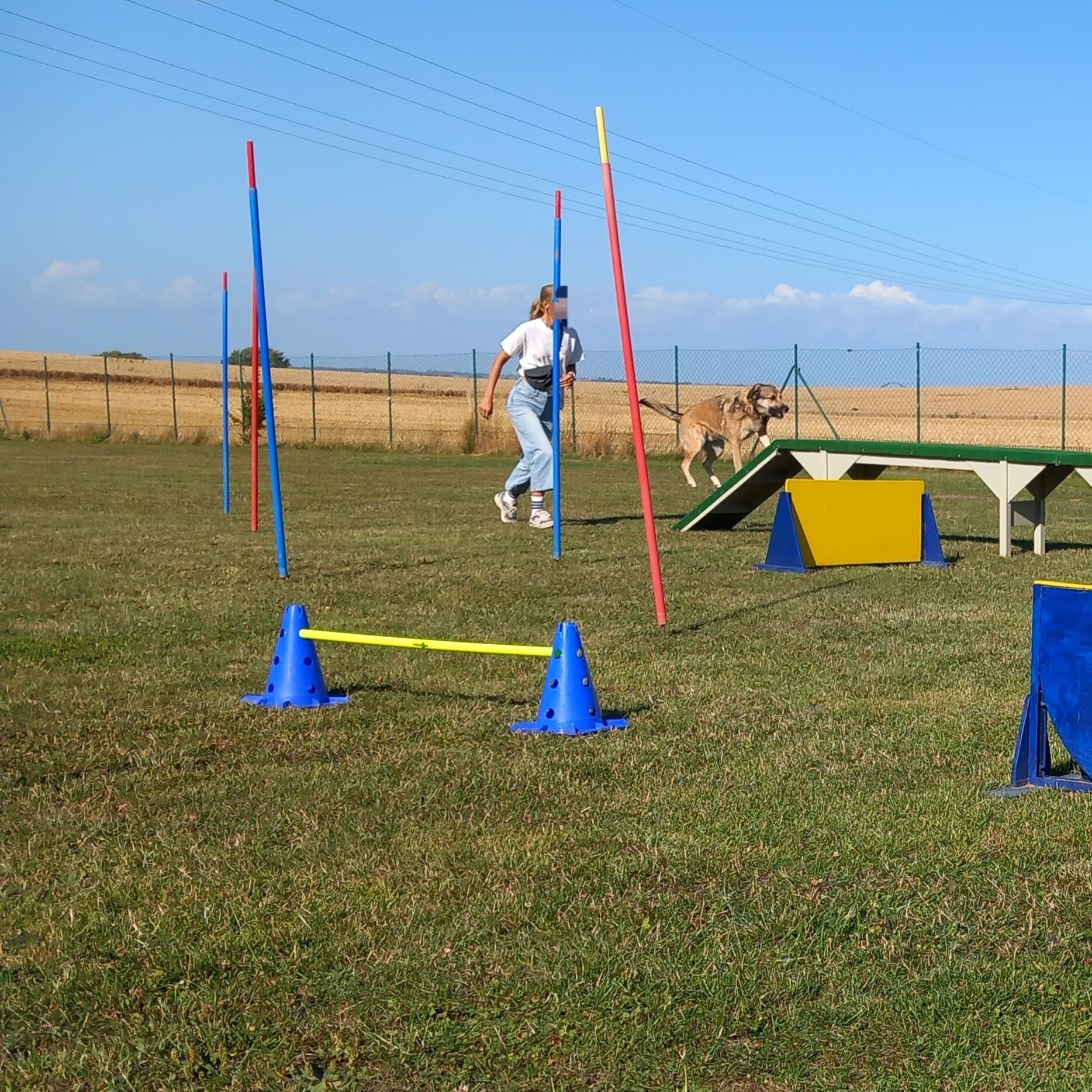 d5e3a7c8-af48-4171-8e7f-d2612ee7d167-standard.jpg