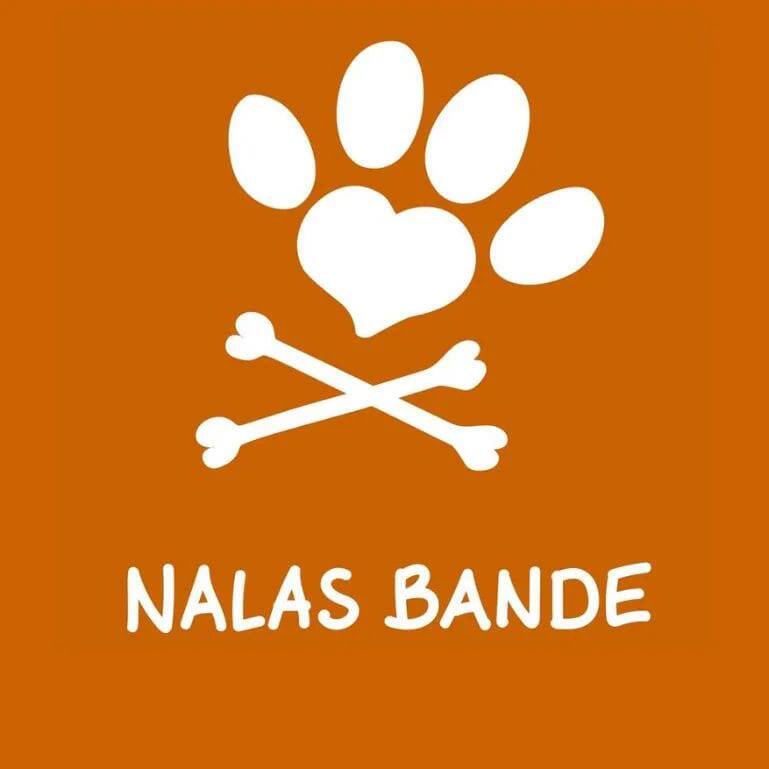 logo_nalas_bande-standard.jpg