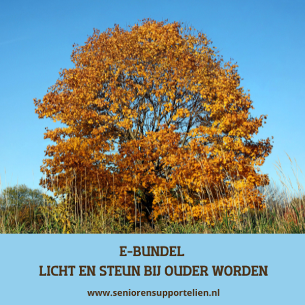 E-bundel "Licht en steun bij ouder worden"