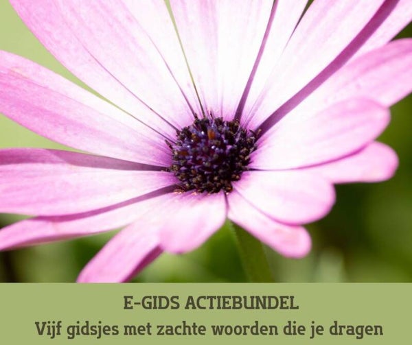 E-gids | ACTIEBUNDEL - 5 gidsjes met zachte woorden die je dragen