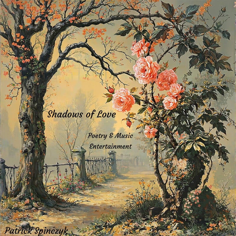 new-schatten-der-liebe-patrick-sebastian-spinczyk-cover-farbe-neu-cover-verbessert-abgabe-neu-standard-7ezw8d.jpg