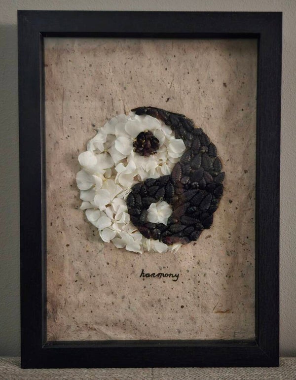 Yin Yang Harmony
