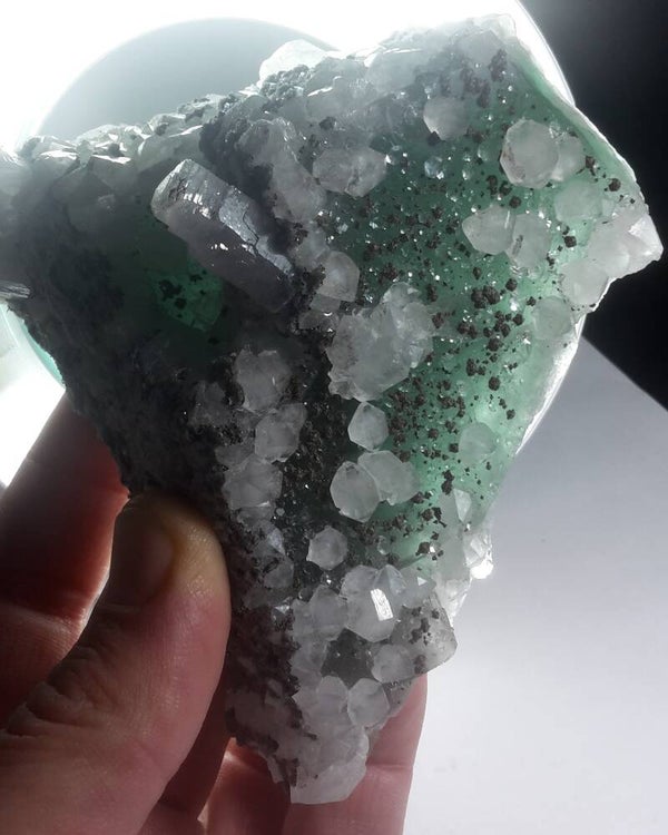 "EL HAMMAM' FLUORITE & CALCITE (UV)