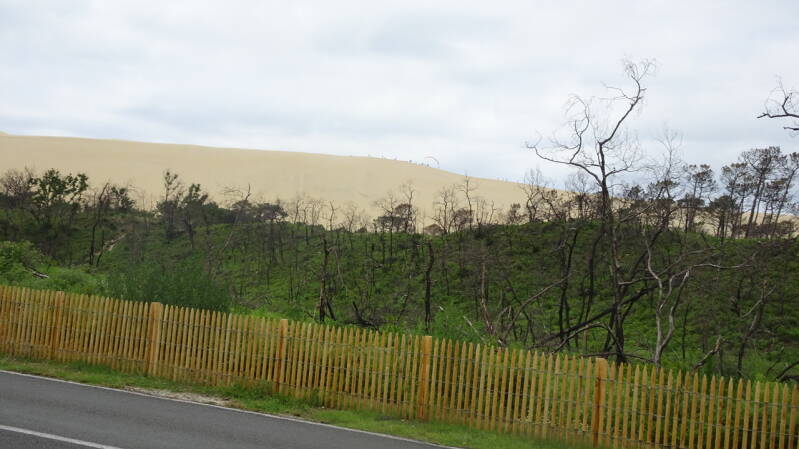 Dune Du Pylat