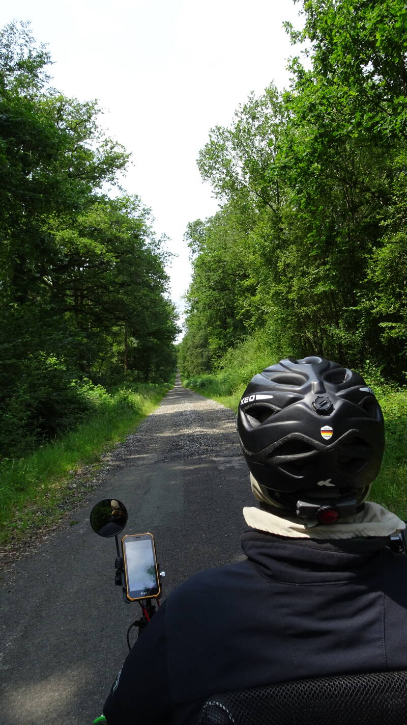 Forstweg vor dem Ziel