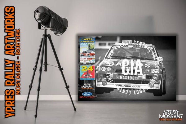 24 Uren van Ieper 1994 - P.Snijers - D.Colebunders / Ford