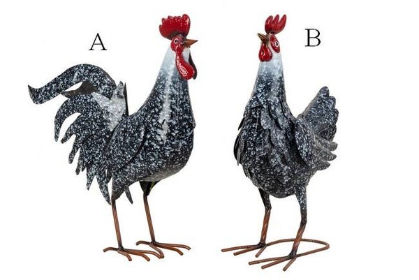 Coq ou poule mouchetés