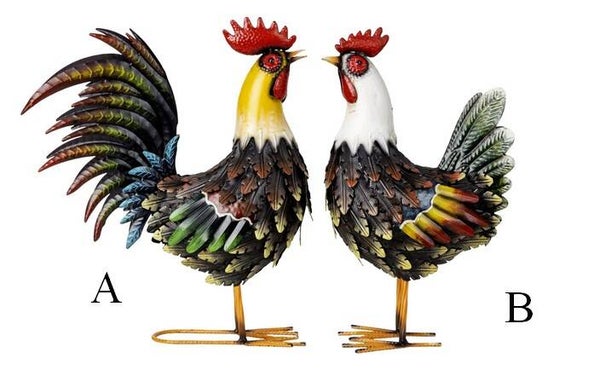 Coq ou poule multicolor