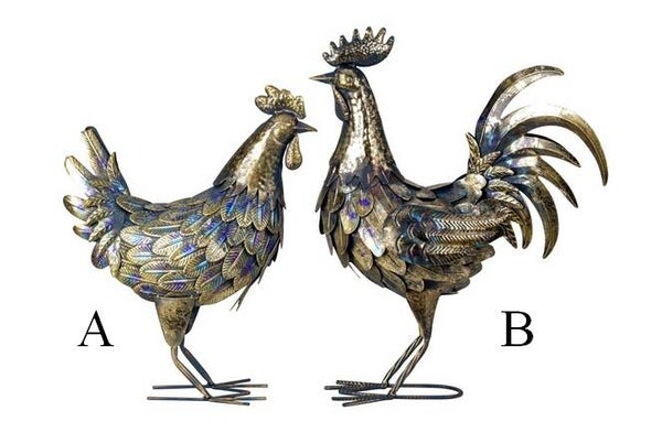 Coq ou poule reflets bleutés