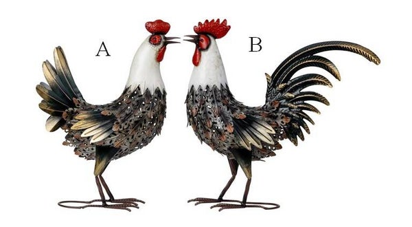 Poule ou coq tête blanche