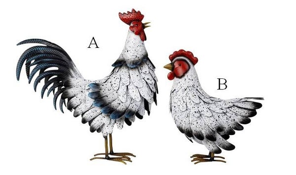 Coq et poule blanc et noir