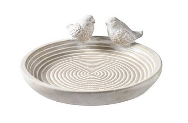 Bain pour oiseaux