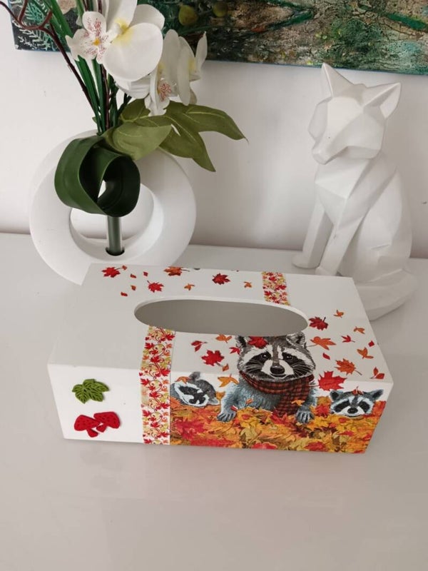Boîte à mouchoirs "ratons laveurs"