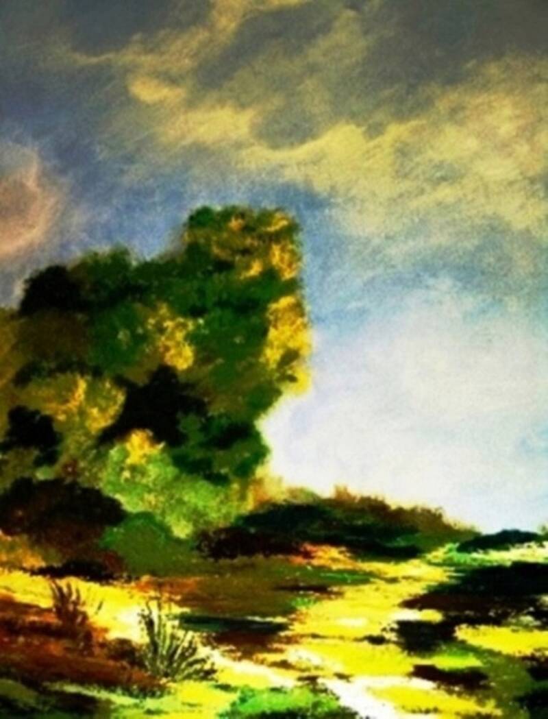 schilderij Hoge Veluwe, groene boom, vetpad, geel en groen ,70 x 80 cm.