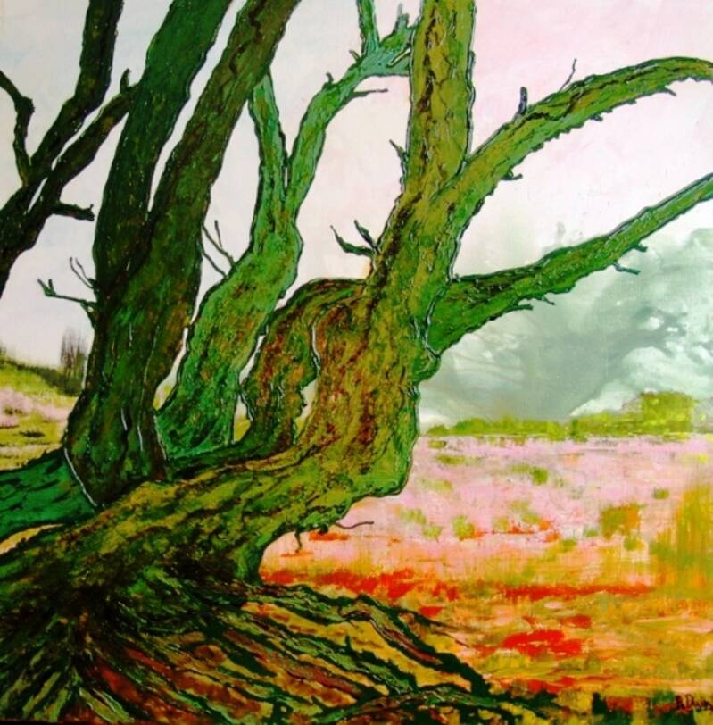 schilderij van een oude boom. 90 x 90 cm