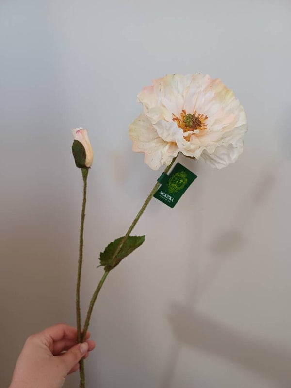 Klaproos Perzik 74cm