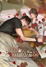Novel cover